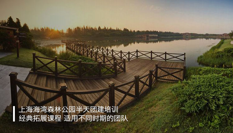 【乐·团建】上海海湾森林公园半天经典团建活动