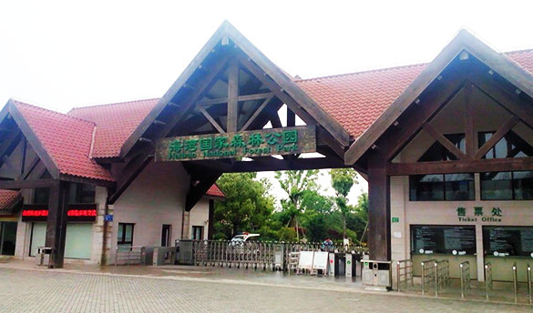 上海海湾森林公园拓展基地